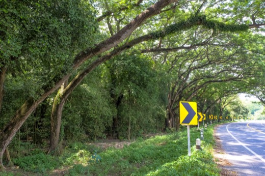 columbia south carolina auto crash attorney dangerous roads